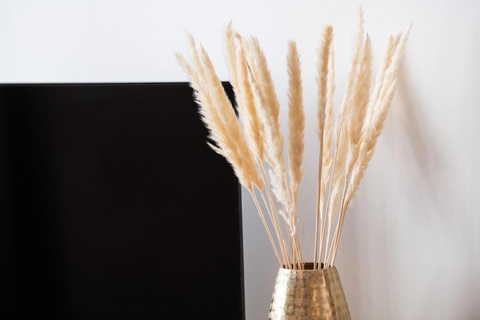 La Suite Sepia - Superbe Appartement Vieux Lyon Ngoại thất bức ảnh